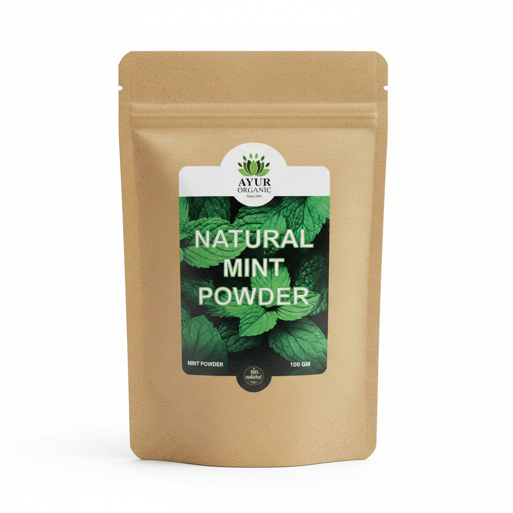 Mint Powder Organic 100gm – refreshing organic herbal powder for digestion and cooling
