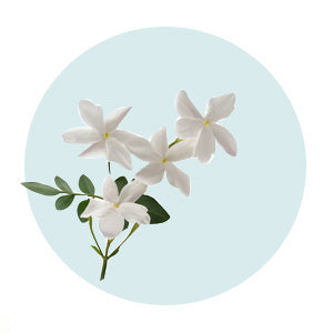 Natural Shower Wash Jasmine – gentle floral body wash for soft, fragrant skin