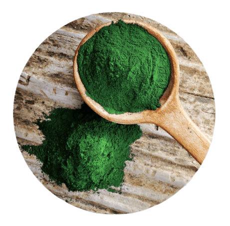 Spirulina Powder Organic 100gm – nutrient‑dense organic superfood powder for energy
