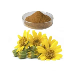 Arnica Powder Organic – organic herbal powder for soothing muscles and bruises
