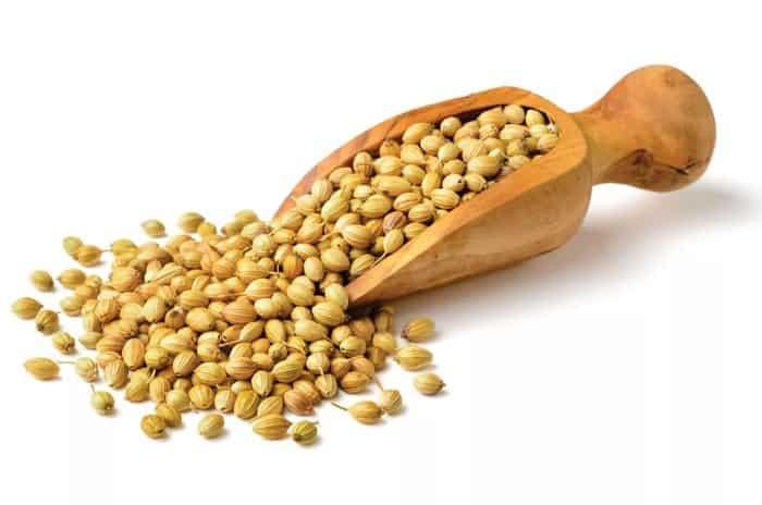 Coriander Powder Organic – aromatic organic spice powder for flavour and digestion