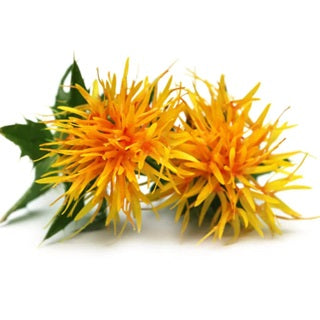 Organic Safflower Oil 100ml – lightweight organic oil for skin softness and nourishment