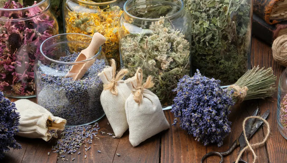 organic herbs for winter 