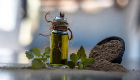 Embracing Timeless Wellness: The Versatility of Brahmi Oil
