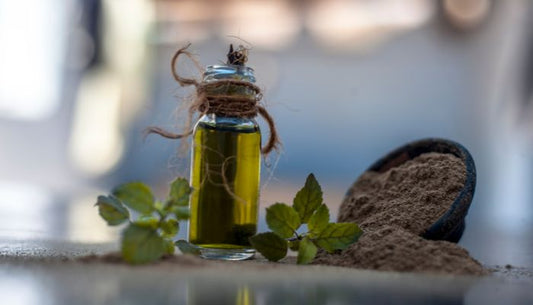 Embracing Timeless Wellness: The Versatility of Brahmi Oil