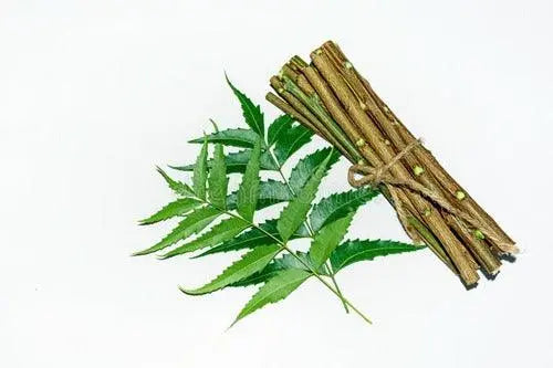 Neem Tree