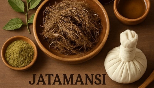 Everything You Need to Know About Jatamansi Ayurveda for Natural Detox