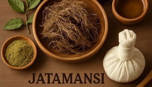 Everything You Need to Know About Jatamansi Ayurveda for Natural Detox