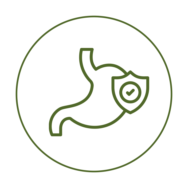Digestion Support