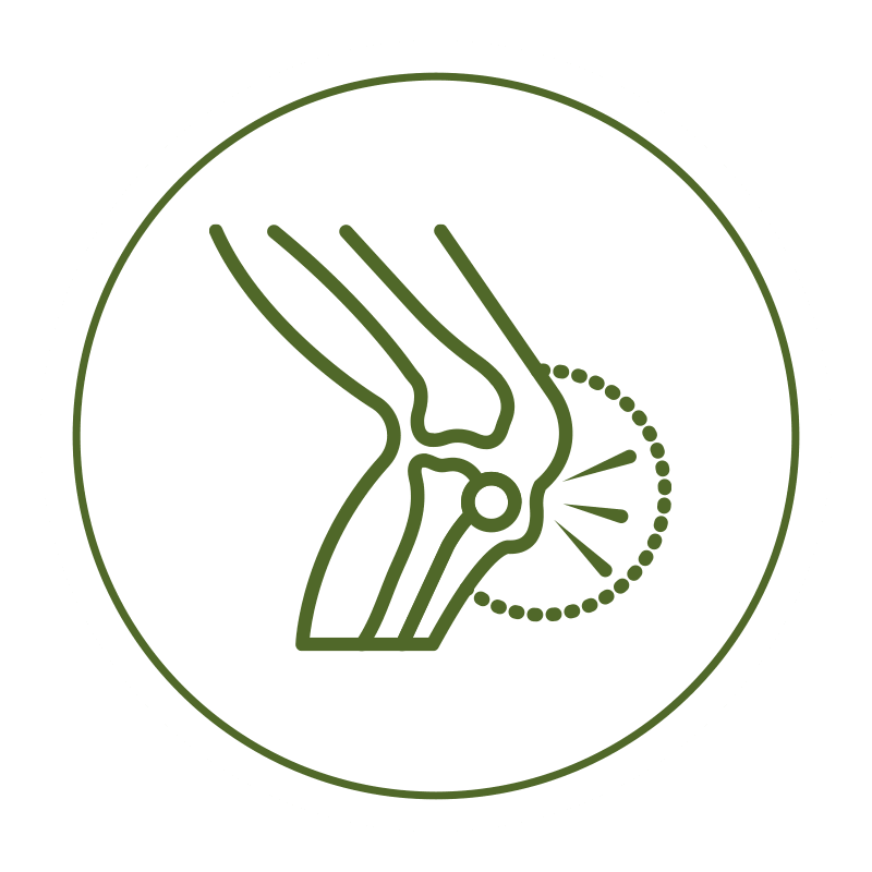 Joint Support
