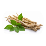 Pure Organic Ashwagandha Capsules | 90 Capsules