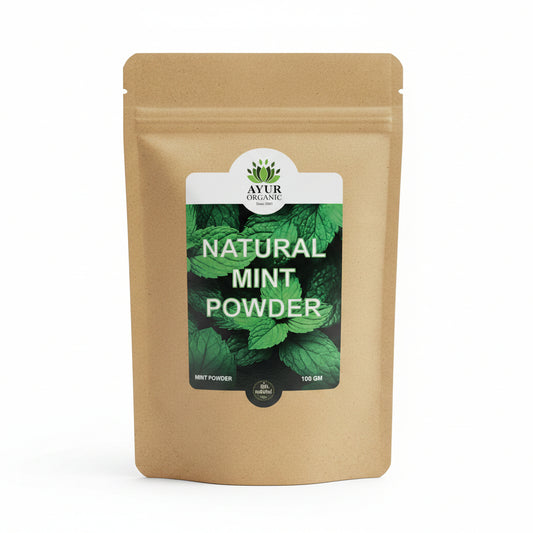 Mint Powder Organic 100gm – refreshing organic herbal powder for digestion and cooling