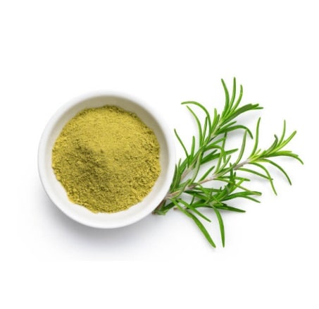 Rosemary Powder Organic | 100 gms